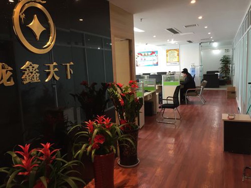 项目融资顾问:搭建资金与机遇的桥梁